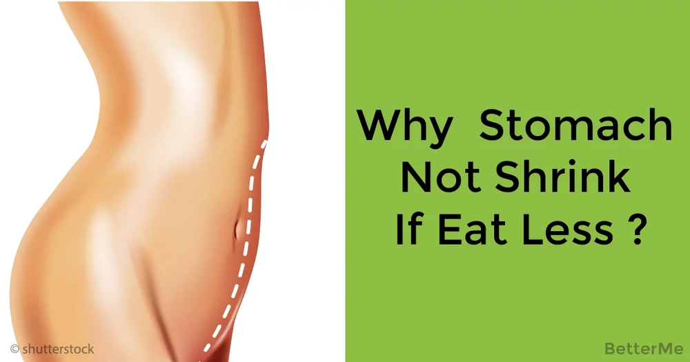 Why Your Stomach Not Shrink If You Eat Less