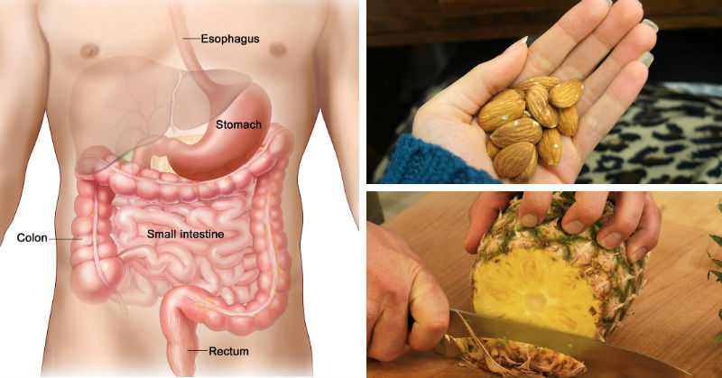 11 Foods To Eat That Kill Intestinal Bugs and Parasites