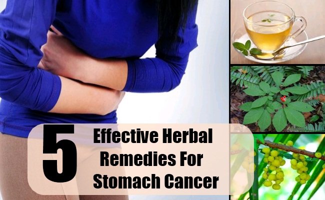 5 Effective Herbal Remedies For Stomach Cancer