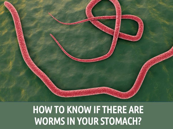 How To Know If There Are Worms In Your Stomach?