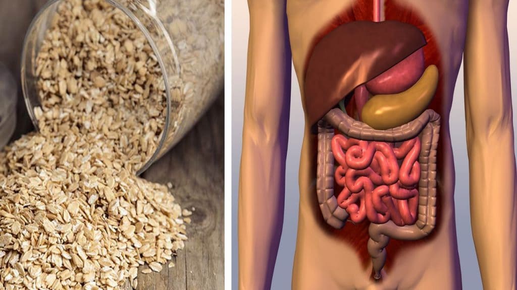 The Best Upset Stomach food To Ensure Faster Recovery