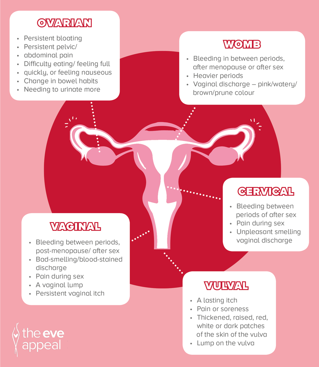What Are Signs Of Cervical Or Ovarian Cancer : Ovarian ...