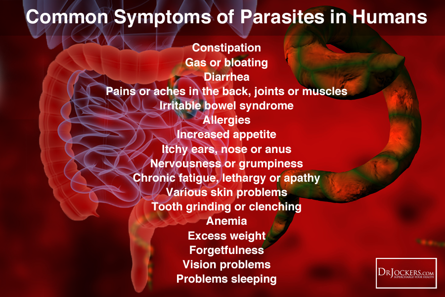 What Type of Parasites Do You Have?