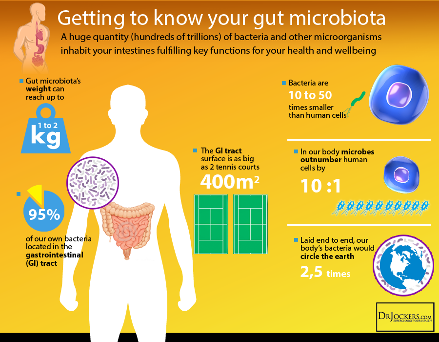 10 Ways To Improve The Gut Microbiome