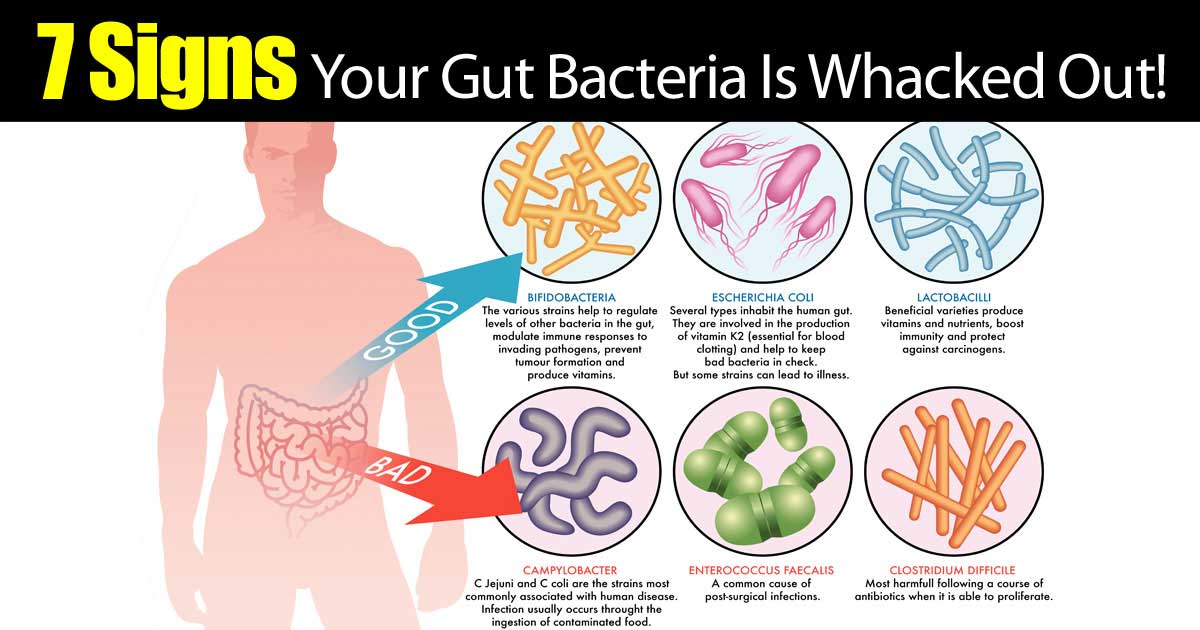 7 Signals Your Gut Bacteria Is Out Of Whack