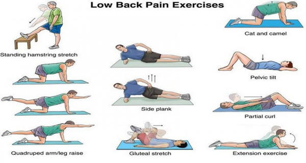 Spine Solutions India by Dr Sudeep Jain: Exercise to ...