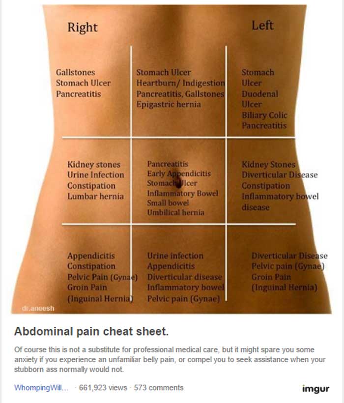 Use This Belly Map To Discover Why Your Stomach Hurts ...