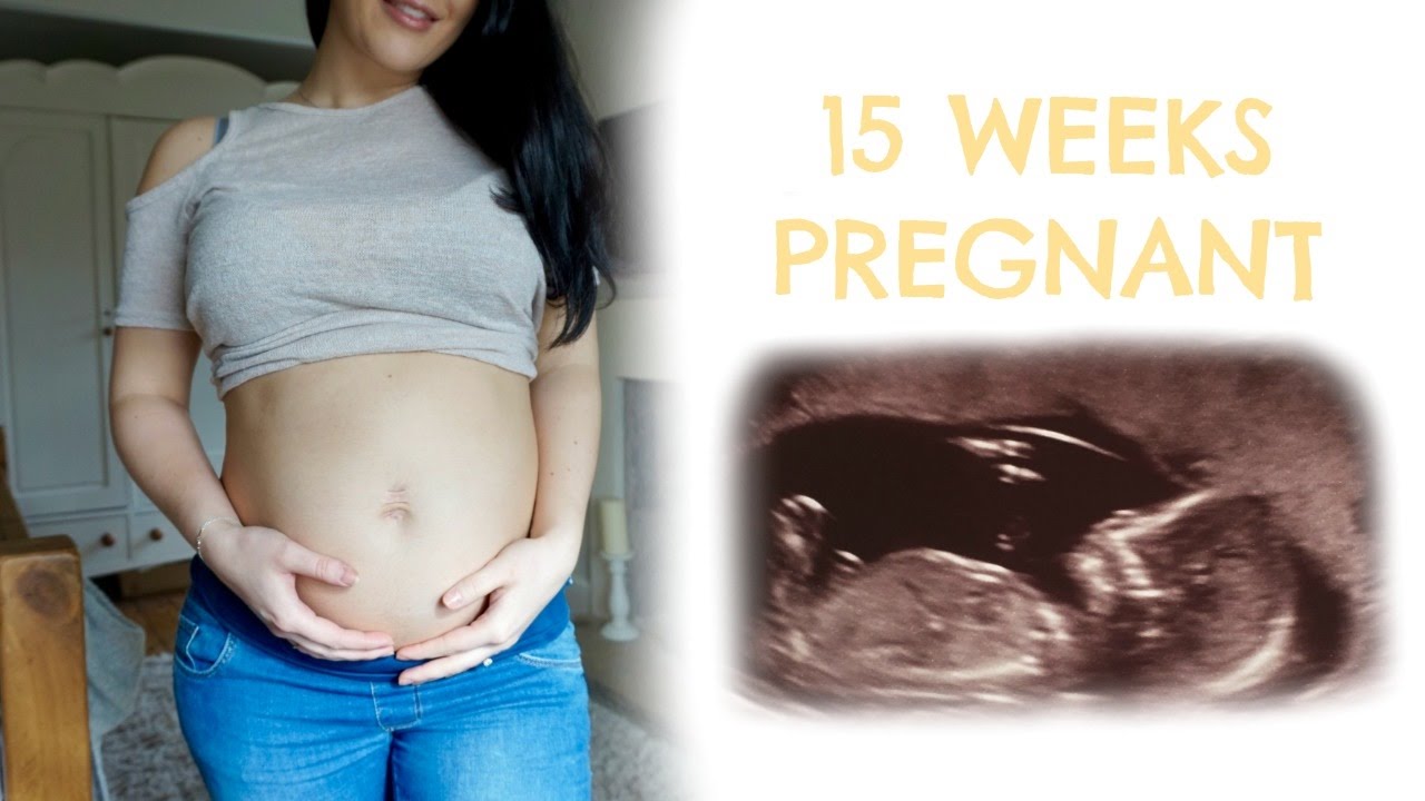 15 WEEKS PREGNANT