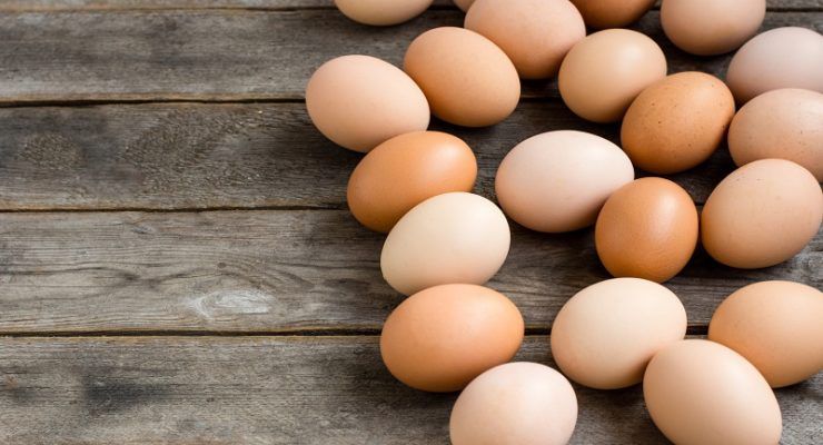 benefits of eggs
