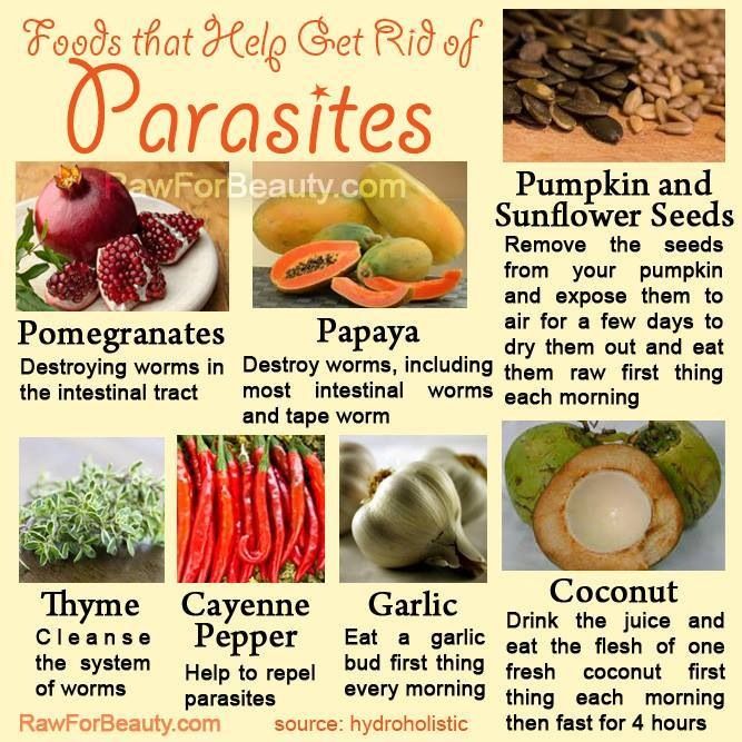 Foods that help get rid of parasites.