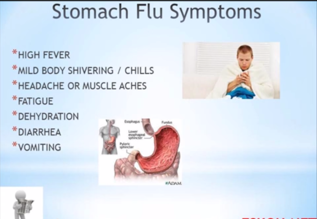 Is It a Stomach Flu or Influenza?