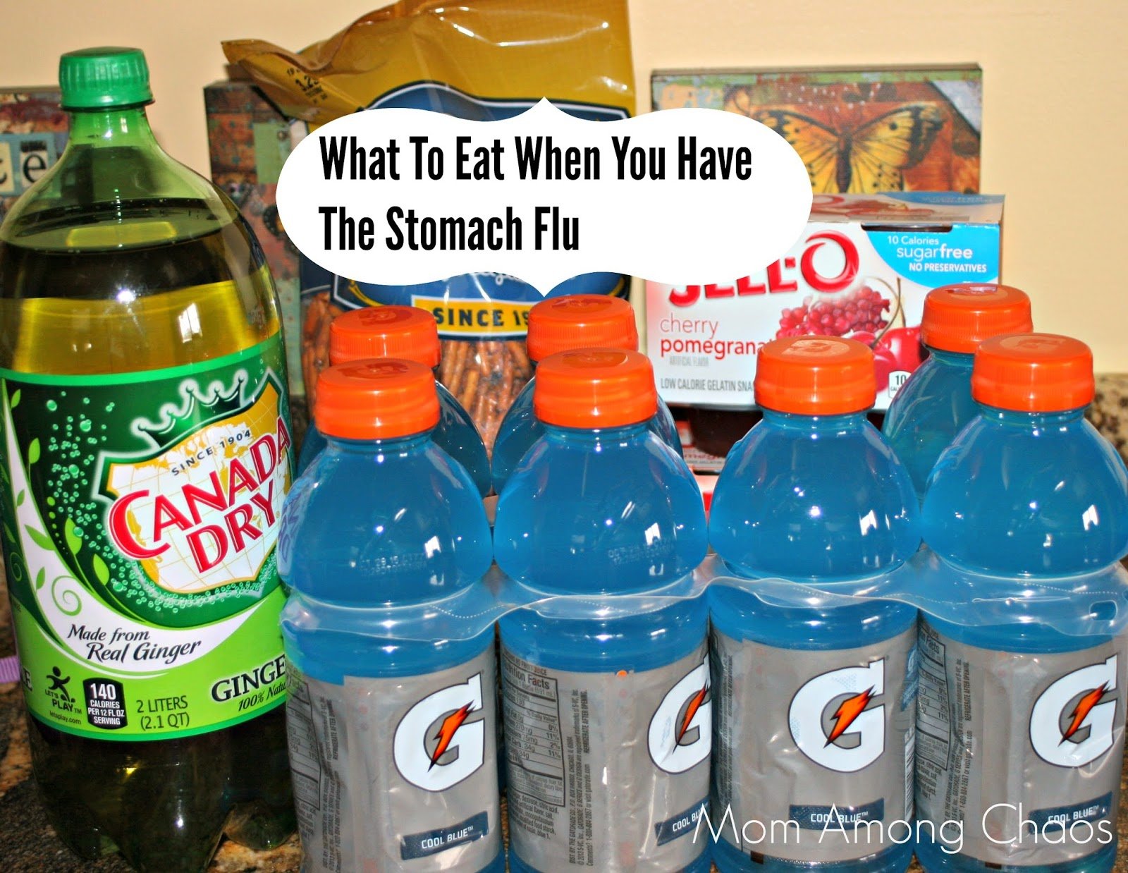 Mom Among Chaos: What to Eat When You Have the Stomach Flu