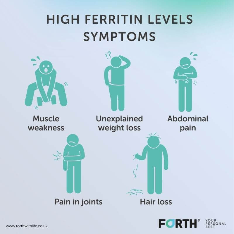 What is the difference between ferritin and iron?