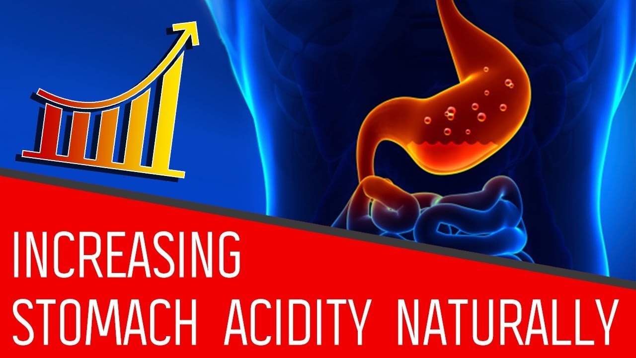 How to Increase Stomach Acidity Naturally in Your Diet ...