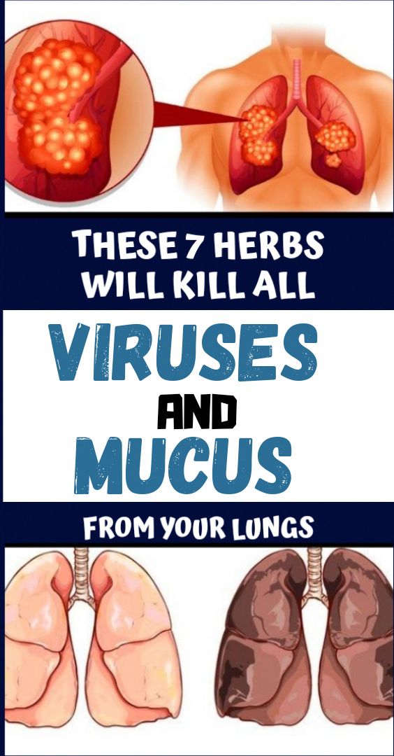 7 Herbs That Kill Viruses and Clear Mucus from Your Lungs ...