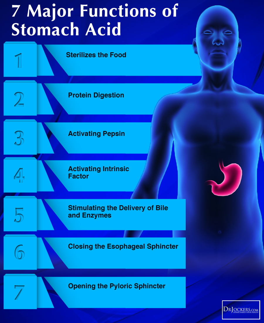 Supplements for low stomach acid, ALQURUMRESORT.COM