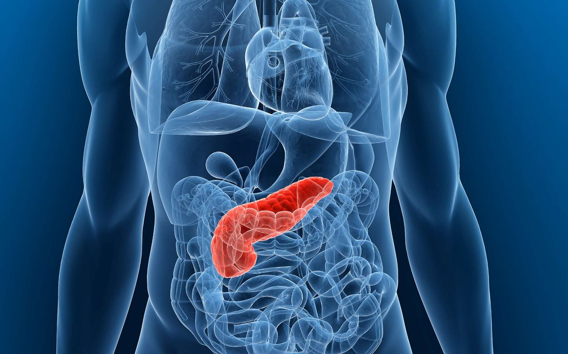 Stomach Cancer: Causes, Symptoms, Treatment &  Prevention