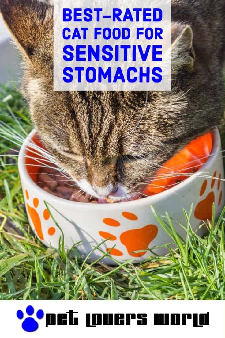 Blue Buffalo Sensitive Stomach Cat Food 15 Lb