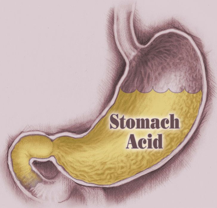 Fun Fact Friday: The acid in your stomach is strong enough to dissolve ...