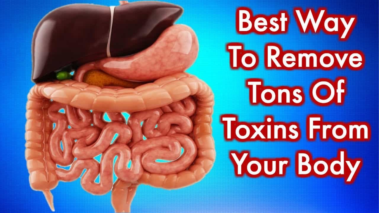 Home Remedies that clean your colon of toxic waste overnight