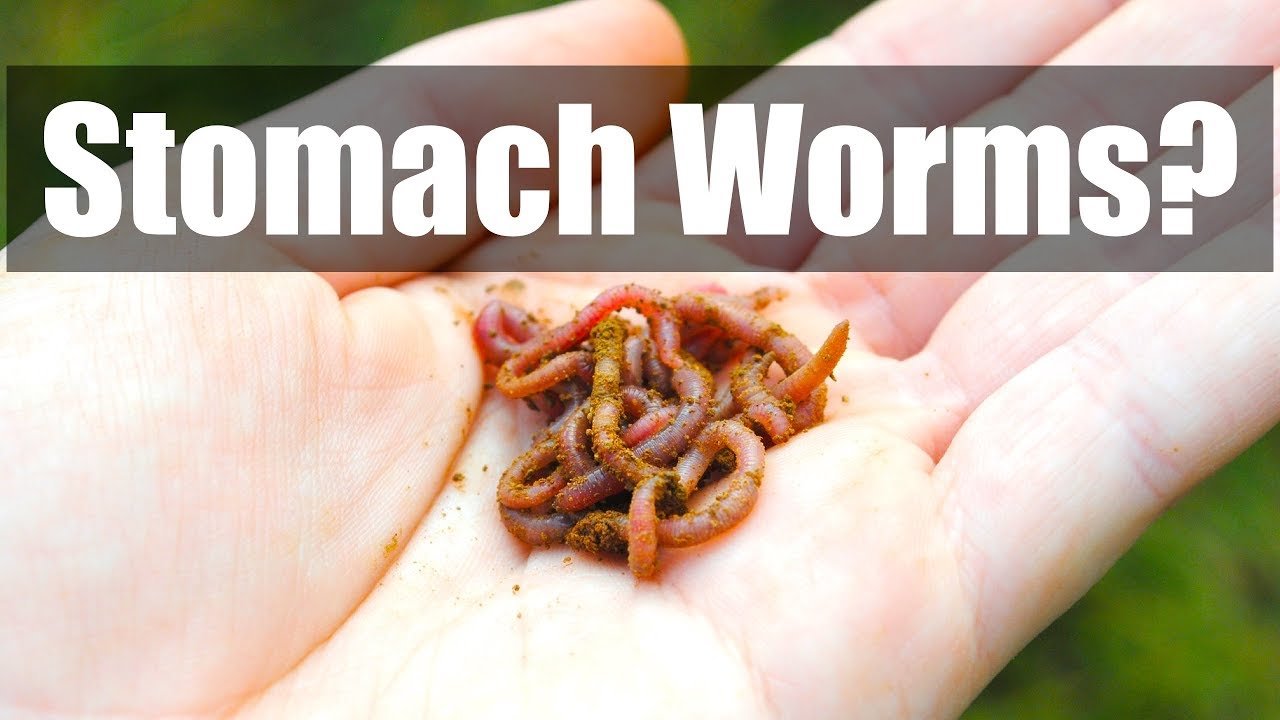 How To Know If I Have Worms In My Stomach