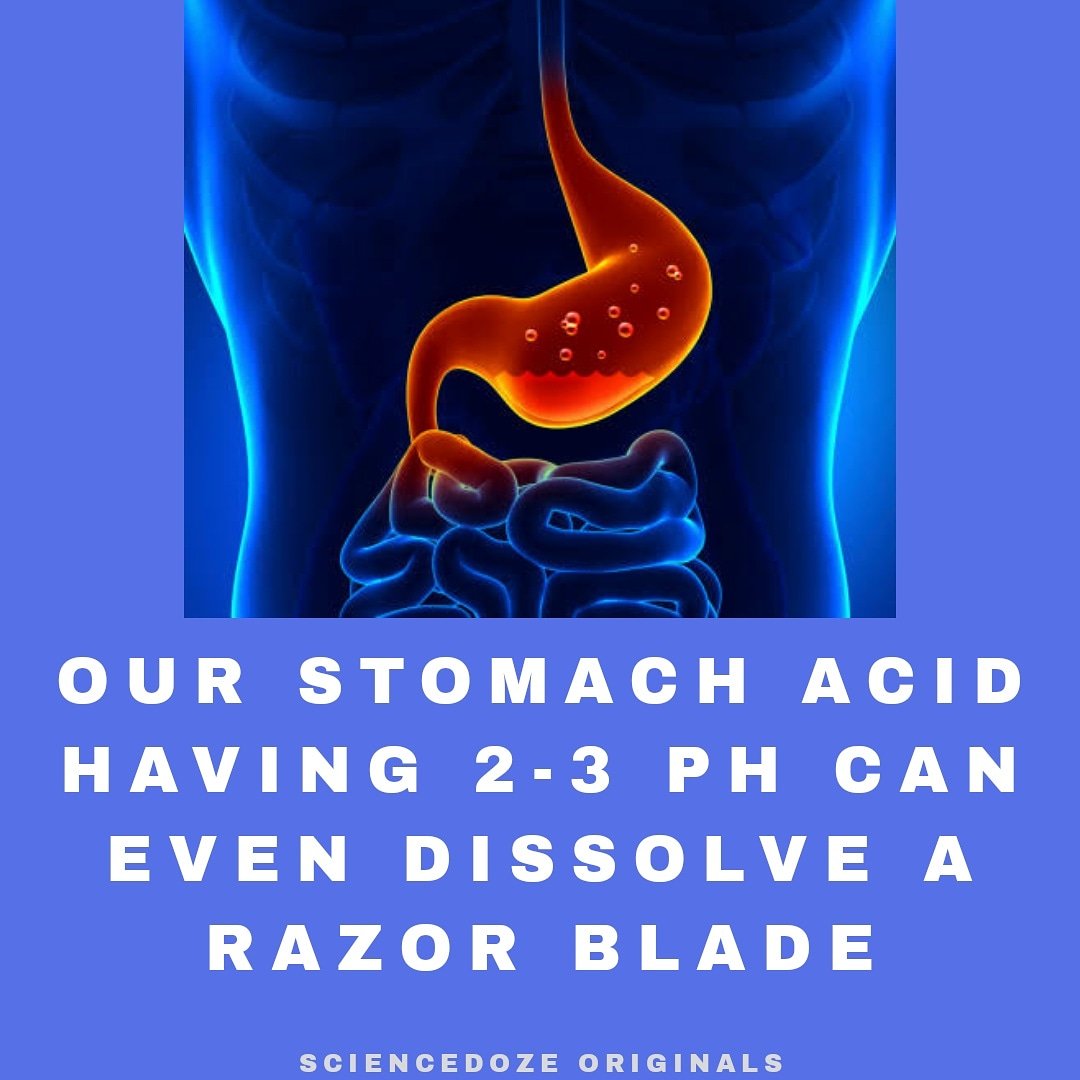 What causes acidity in stomach?