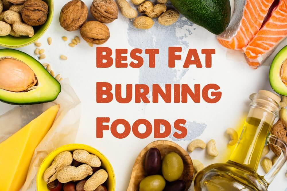 Which are the Best Fat Burning Foods