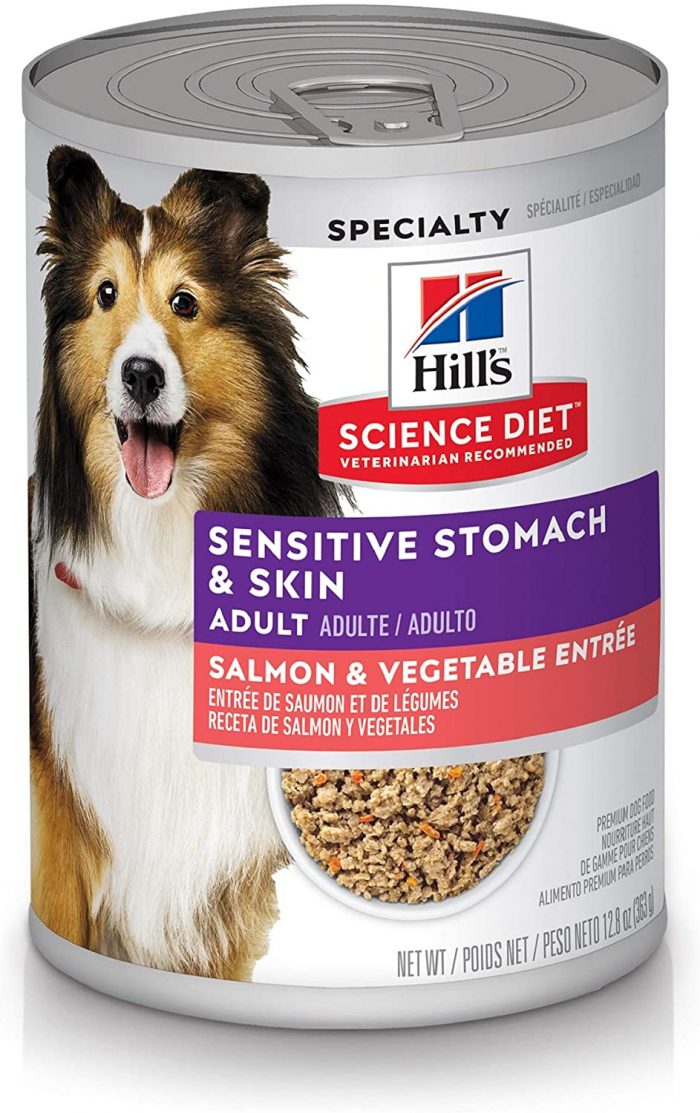 Best Dog Food For Sensitive Stomach: What You Need To Know And Their ...