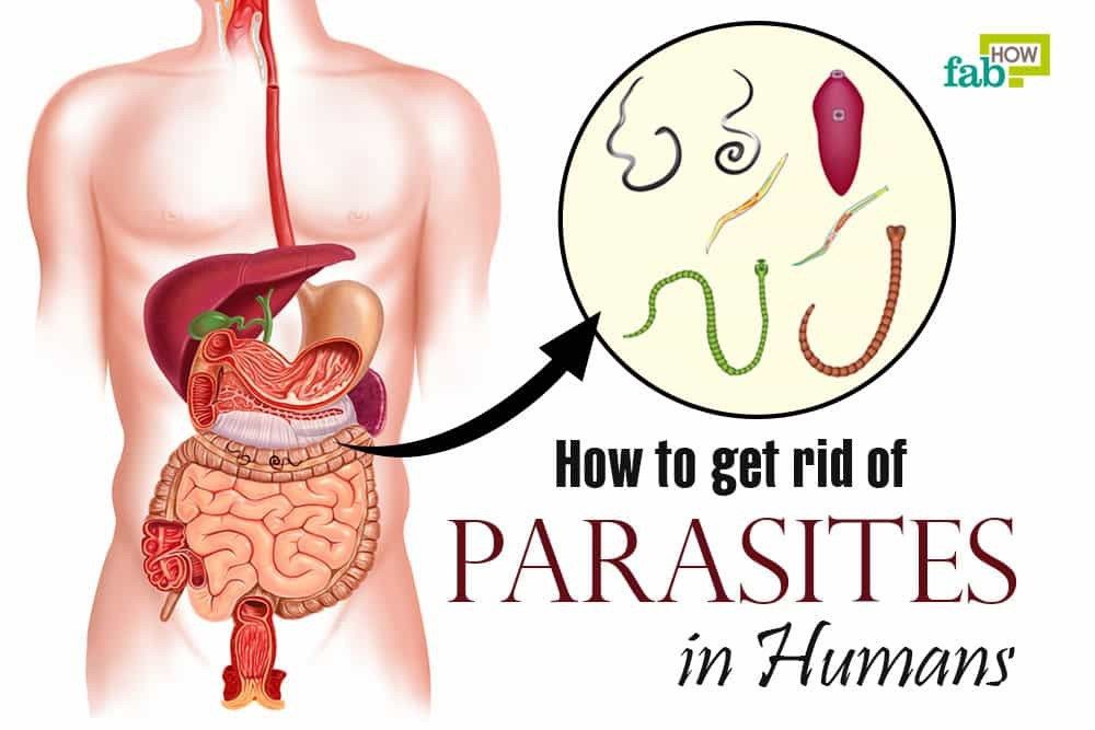 Dealing with Parasites