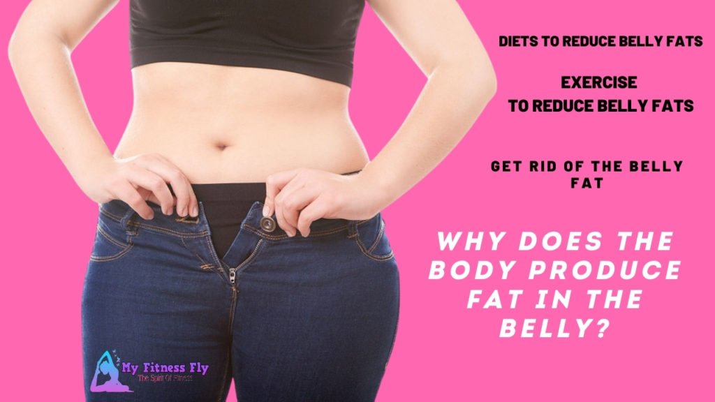 Why does the body produce fat in the belly?