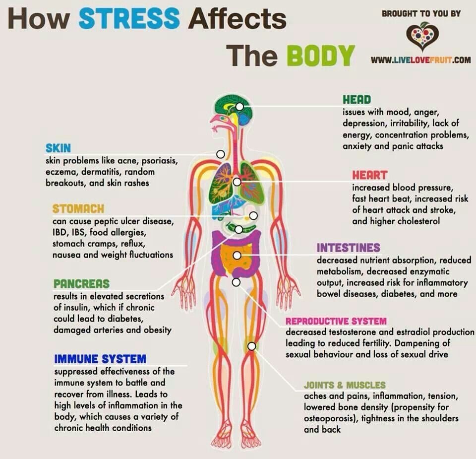 10 Organs In The Body Affected By Stress