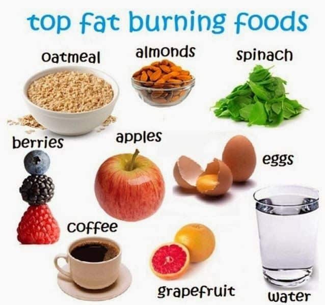 Pin on How To Lose Belly Fat Fast