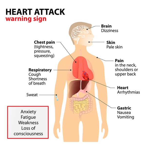 What Causes Heart Attacksand How to Prevent Them