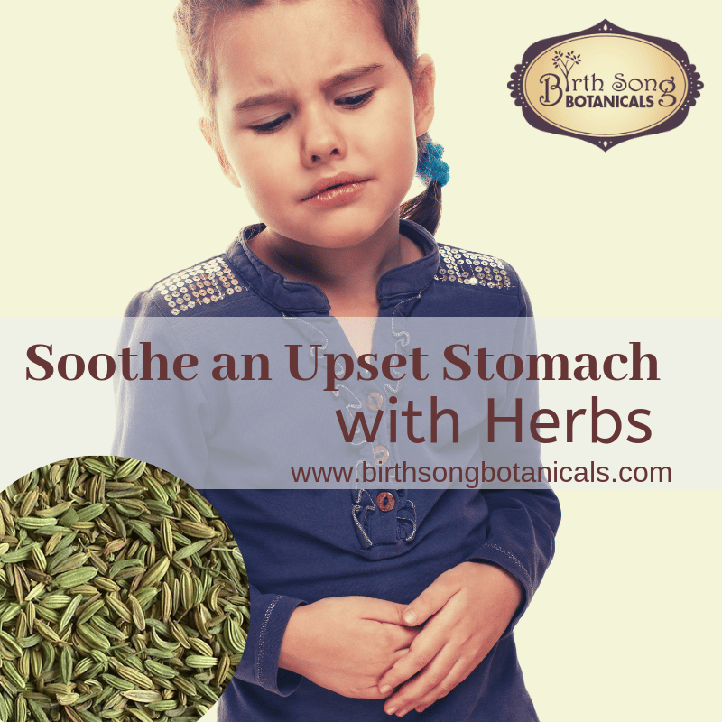 Soothe an Upset Stomach with Herbs Birth Song Botanicals Co.